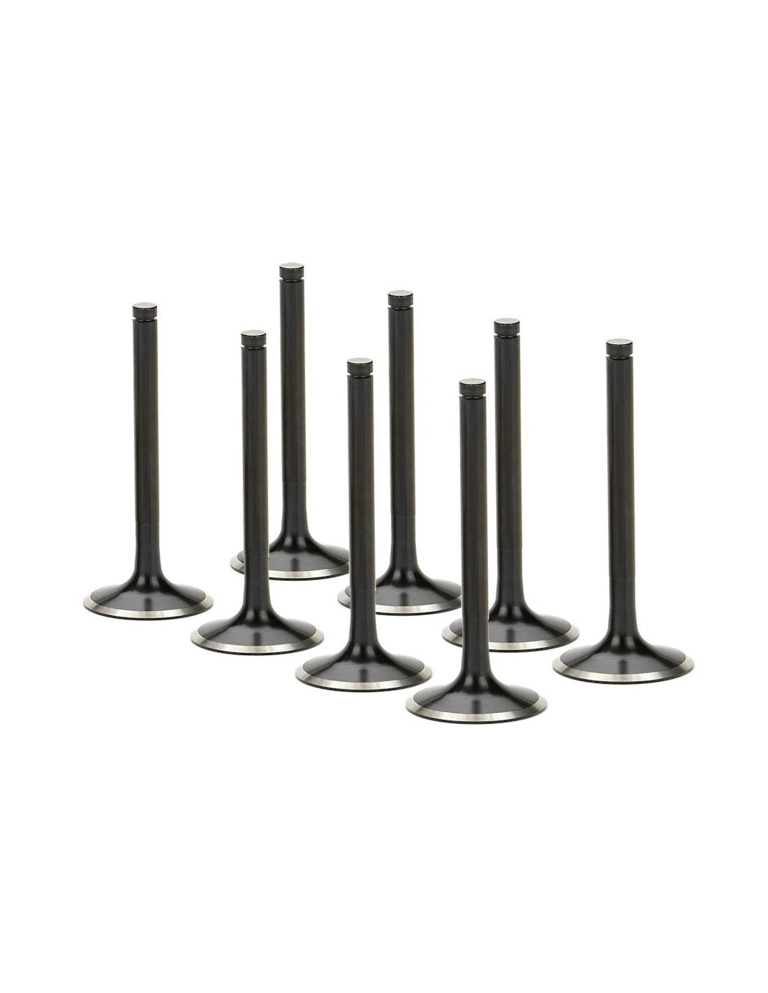 Honda K20, K24 Supertech Black Nitrided Intake Valve Set