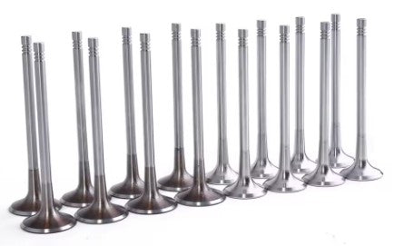 Set of 16 x OEM Dimensions EA888.3 Valves